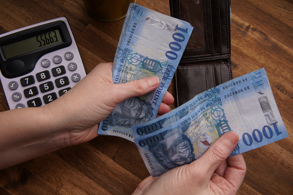 Minden, amit a jövedelempótló biztosítás igényléséhez tudni kell