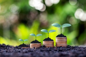 Bónusz Magyar Állampapír vagy Prémium Magyar Állampapír – melyikbe fektessünk?