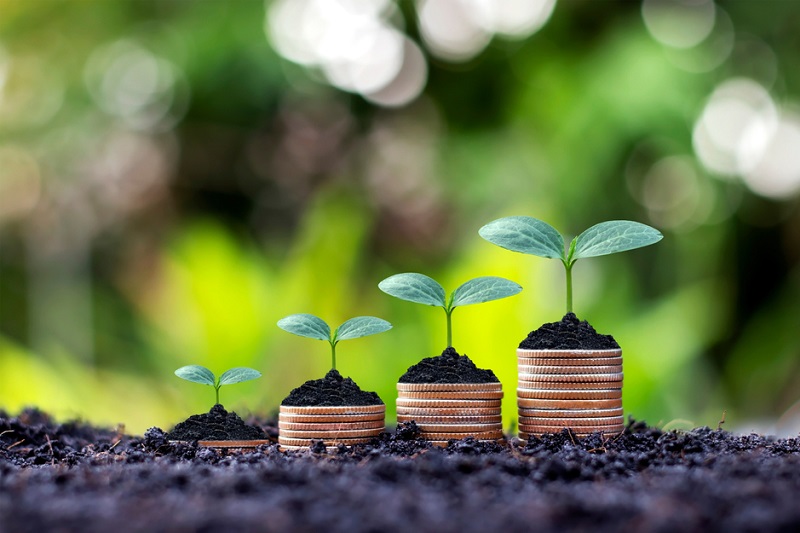 Bónusz Magyar Állampapír vagy Prémium Magyar Állampapír – melyikbe fektessünk?